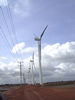 wind farm site