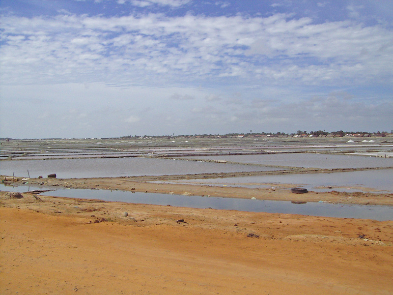 Wind Power Farm Site