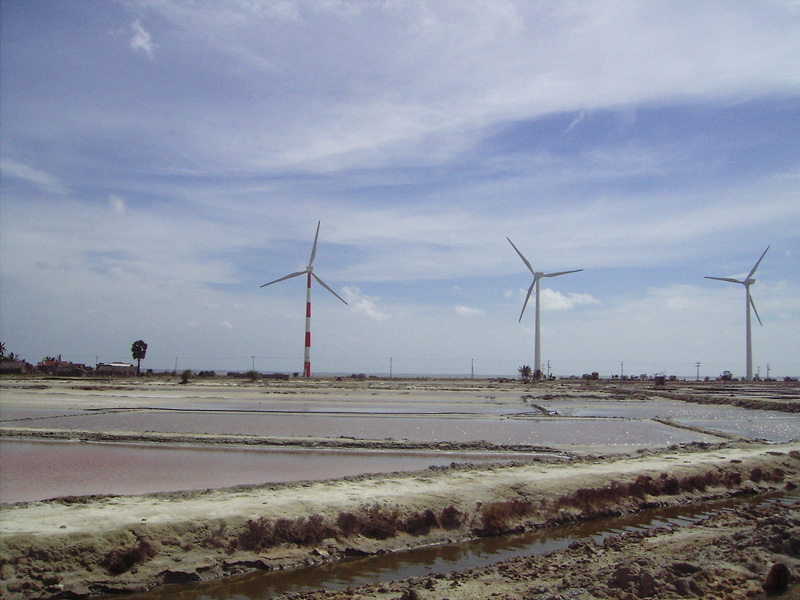 Wind Power Farm Site