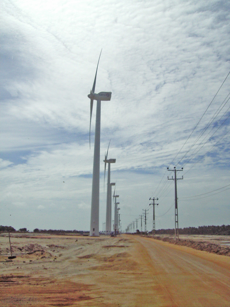 Wind Power Farm Site