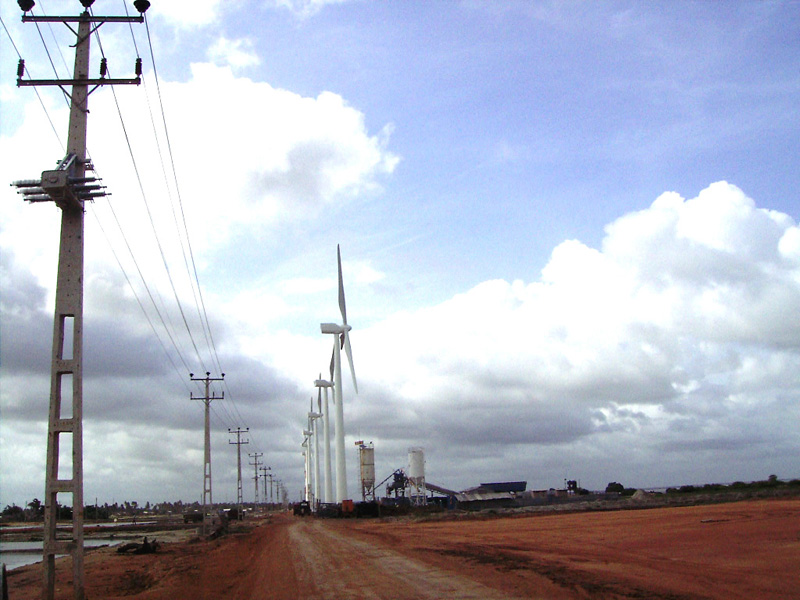 Wind Power Farm Site