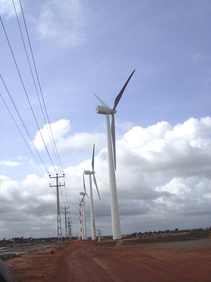 Wind Power Farm Site